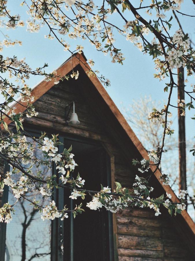 Visoko Gorani Cottage Extérieur photo
