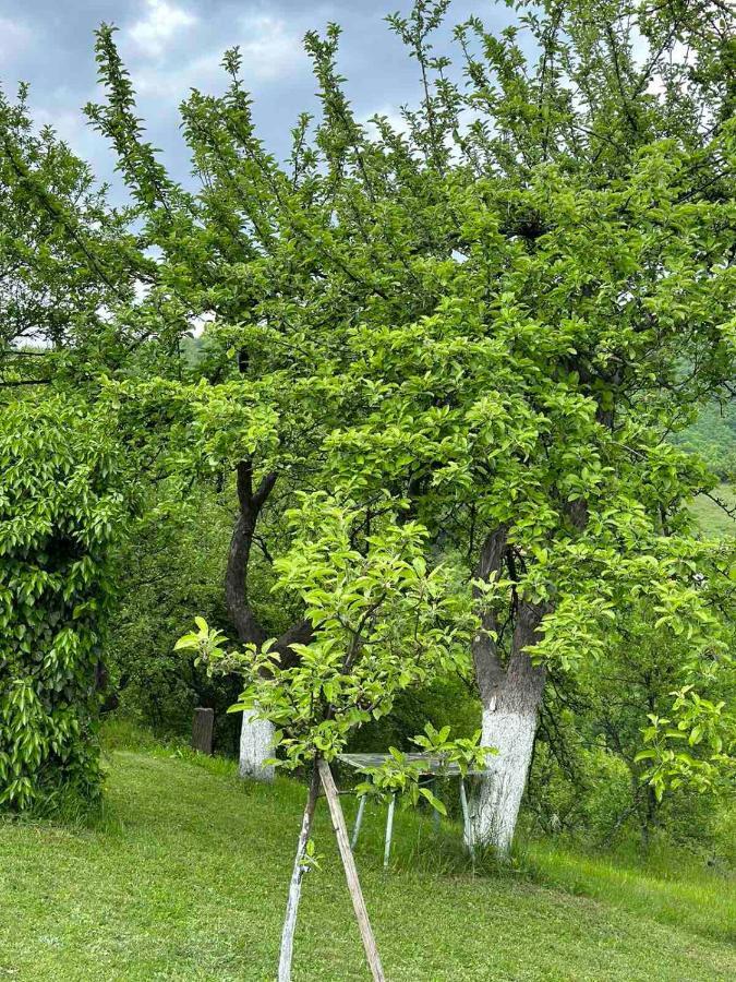 Visoko Gorani Cottage Extérieur photo