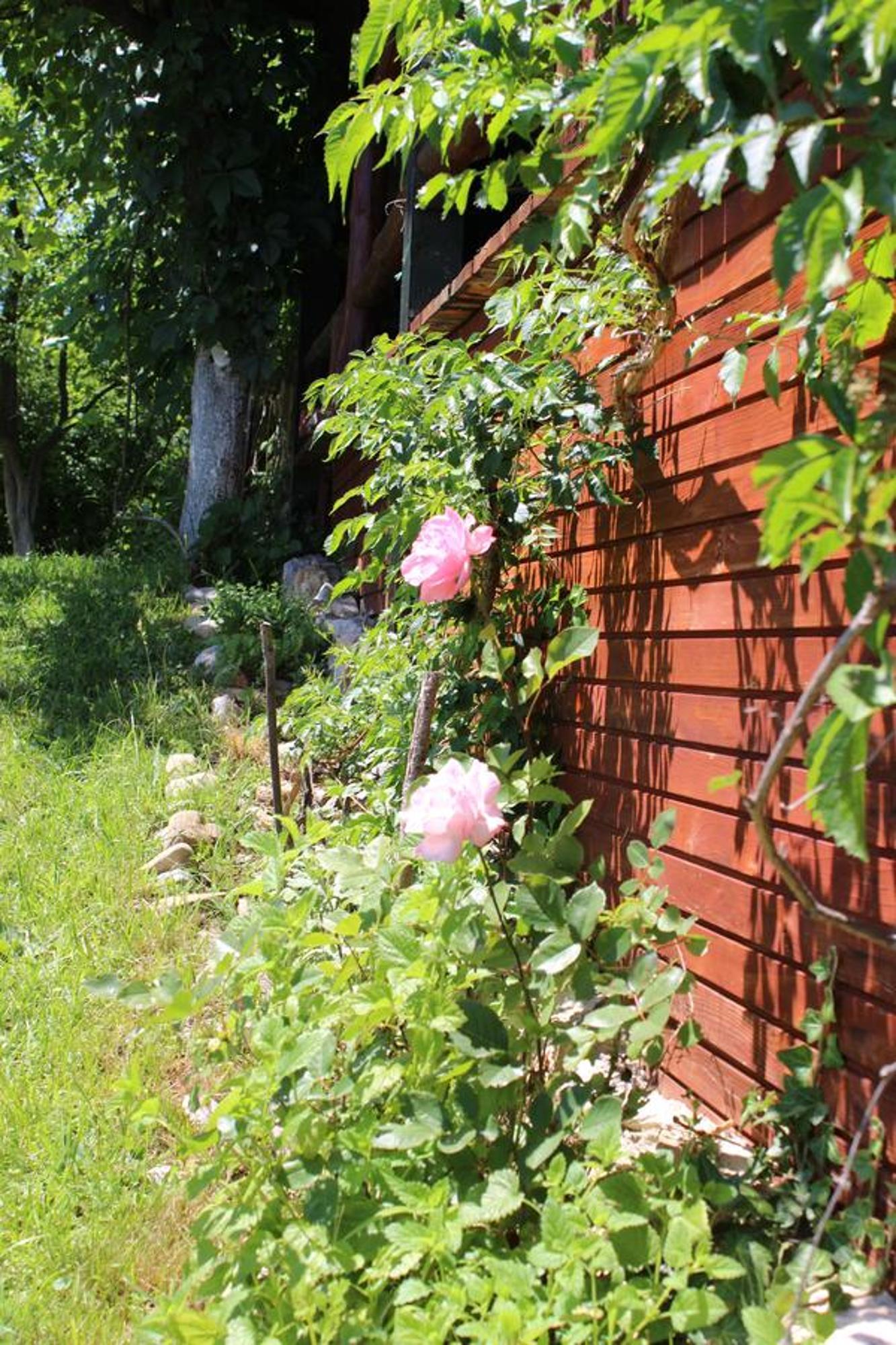 Visoko Gorani Cottage Extérieur photo